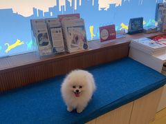 -芭比堂动物医院·犬猫全科·异宠专科(雁塔分院)
