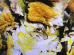 -胖子菜馆(隆昌路店)