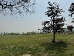 -汉长安城未央宫国家考古遗址公园