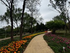 -石家庄市植物园