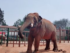 -昆明动物园