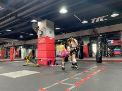 -TFC 纯泰拳馆MuayThai
