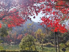 -桃花岭景区