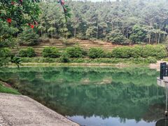 -九龙潭景区
