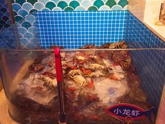 河蟹-乔哥铭洋海鲜自助(皇城恒隆广场店)