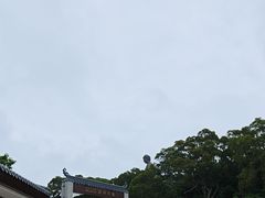 -天坛大佛