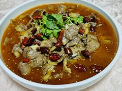 -全聚德烤鸭店(准噶尔路店)