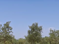 -黄沙古渡原生态旅游区