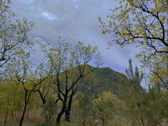 -碓臼峪自然风景区