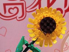 -上海乐高探索中心