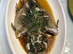 -半岛公馆(淞兴西路店)