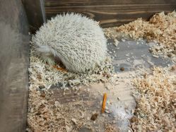 -酷嗒动物文化乐园(cutezoo西溪乐天城店)