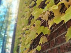 -苏州大学(天赐庄校区)