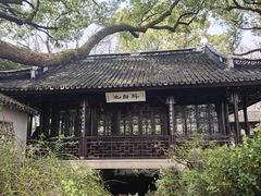 -上海醉白池公园
