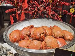 -圆顶阁西餐厅(郑州索菲特国际饭店 )