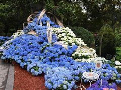 -上海鲜花港