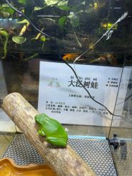 -酷嗒动物文化乐园(cutezoo西溪乐天城店)