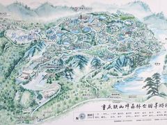 -铁山坪森林公园