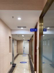 -碧莲盛·不剃发植发