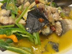 -饭怕鱼(阳光100店)