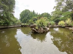 -东湖落雁景区