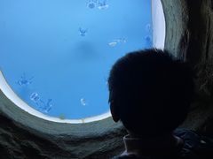 -常州海昌海洋探索馆