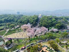 -苏州上方山国家森林公园
