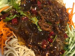 关东大拉皮-石老头关东饺子王·东北菜(嘉华鑫城店)