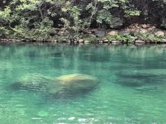 -石台牯牛降景区