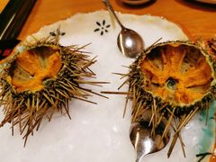活海胆-万岛日本料理铁板烧(太古里店)