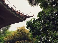 -广州市帽峰山景区