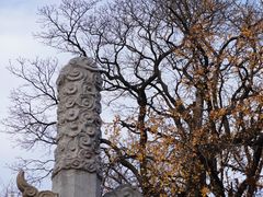 -苏州碑刻博物馆