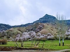 -中华福寿山