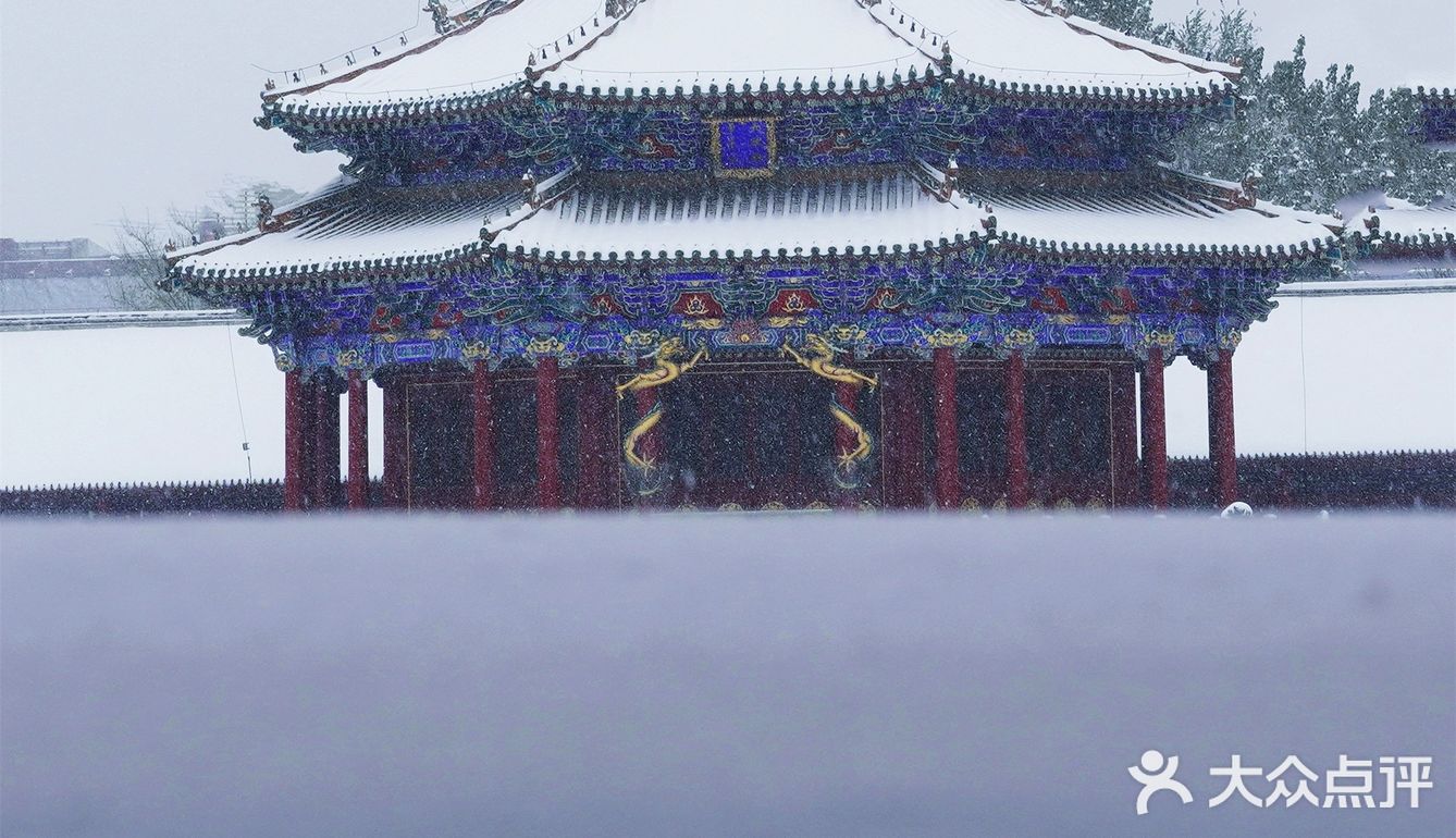 沈阳冬天的第一场雪｜大雪让沈城变成了盛京