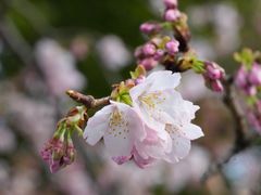 -静安雕塑公园