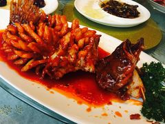 松鼠鲈鱼-新聚丰菜馆(太监弄店)