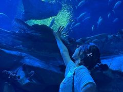 -香港海洋公园