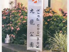 -九龙公园