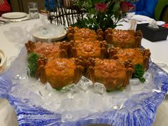 -同庆楼(滨湖万达广场店)