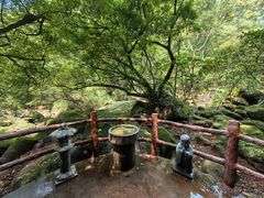 -赤水丹霞旅游区·佛光岩