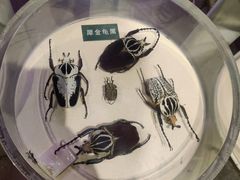 -陕西自然博物馆