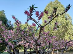 -元大都城垣遗址公园