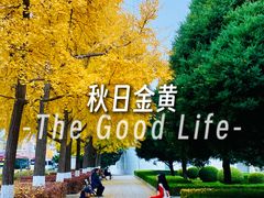-大连人民广场