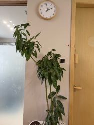 点击看大图 -归位瑜伽&普拉提馆