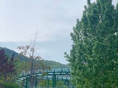 -济南马套将军山