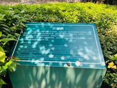 -紫金山天文台