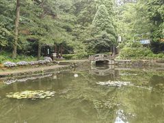 -庐山风景区花径公园