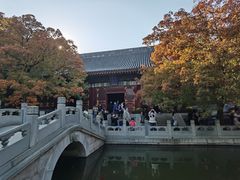-香山公园