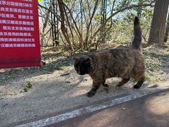 -北京凤凰岭