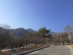 -北京鹫峰国家森林公园